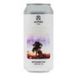 Alefarm Introspective IPA 0,44l - Craftbeer Shop