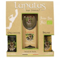 Brasserie Les 3 Fourquets Coffret Lupulus - Charlemagne Boissons