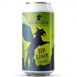 Ballykilcavan Bin Bawn Pale Ale - Craft Beers Delivered