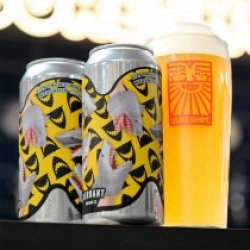 Sureshot Brewing Even Tim the Human Shark Needs Water
