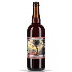 Jolly Pumpkin Maracaibo Especial 11% vol. 0.75l - Beerlovers