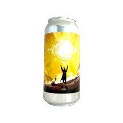 Brasserie Chromatique  PRAISE THE SUN bière craft type GOSE Abricot-Romarin 44 cl - Calais Vins