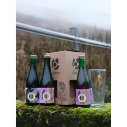 Origins Brewing Collection 6 Gift Pack - Fyne Ales