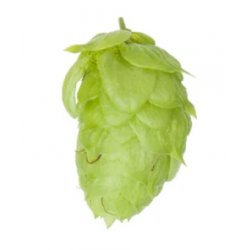 Lúpulo Columbus Hopsteiner x 1 Kg - The Craft Drinks Lab