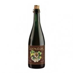 LUPULUS BRUNE - Birre da Manicomio