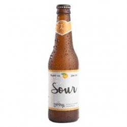 Louvada Catharina Sour Laranja Garrafa 355ml - Clube do Malte