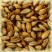 Melanoidin Malt EBC 60-80 Melanoidin Malt EBC 60-80