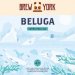Brew York Beluga (Cask) 