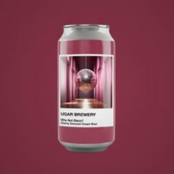 Spectrum  Why Not Disco? - Ugar Brewery