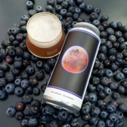 Evil Twin Brewing EVIL MOON - BLUEBERRY - Beer Force