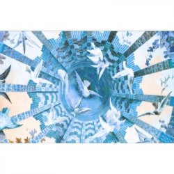 Popihn DIPA DDH - CITRA / STRATA /SIMCOE