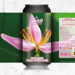 Mogwaï Beer Company I Decided To Stay A Flower Mogwaï Beer Company I Decided To Stay A Flower