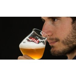 Sabeer Aprende a catar cerveza - SABEER La Academia de la Cerveza