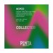 Hopzz_ Collected  Pinta 