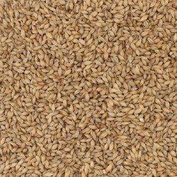 Pale Ale 6 EBC (1 kg) - La Cabaña del Cervecero
