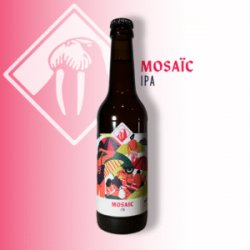 SMEELE - Fabrique de Bière Polder- Mosaïc IPA SMEELE - Fabrique de Bière Polder- Mosaïc IPA