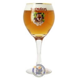 Lupulus Glass - BelgianShop