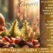 Brasserie Noktua Brama Imperial stout caramel tonka  0.33L 