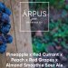 Arpus Brewing Pineapple x Red Currant x Peach x Red Grapes x Almond Smoothie Sour Ale Arpus Brewing Pineapple x Red Currant x Peach x Red Grapes x Almond Smoothie Sour Ale