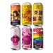 Les Intenables Pack Fruit Addict - 100% bières fruitées - 6x44cl 