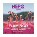 Flamingo  Nepo 