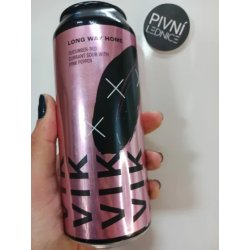 Pivovar Vik Long Way Home - Cucumber - Red Currant Sour with pink pepper