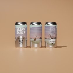 Below Brew Co Forgot To Take My Pils