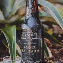 Maleficarum Radix Malorum Mezcal Stout - Maleficarum