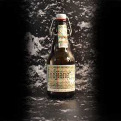 BFM BFM - Indjiana - 4.8% - 33cl - Bte - La Mise en Bière