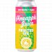 Sloop Brewing Pineapple Juice 
