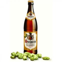 Svijany Svijanský Kníže 13%