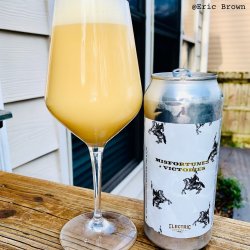 Electric Brewing Co. Misfortunes And Victories Electric Brewing Co. Misfortunes And Victories