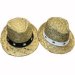 Brasserie du Comté Chapeaux de paille Brasserie du Comté Chapeaux de paille