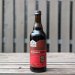 Bottle Logic - Mind Over Batter 2023 