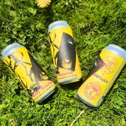 Tin Barn Brewing Be Kind, Rewind