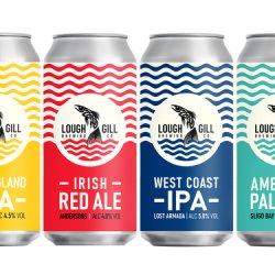 Lough Gill 12 Can Mix Pack - IPA  APA  Brown Ale - Lough Gill Brewery