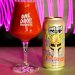 One Drop Brewing - Echo Chamber Pulp Sour 