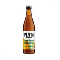 Browar PINTA: Modern Drinking West Coast IPA - butelka 500 ml - Piwne Mosty - Stu Mostow