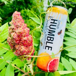 Humble Forager Brewery. Humble Bumble [V1  Citrus] - Brew Export