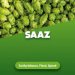 Hop cones Saaz 100 g Hop cones Saaz 100 g