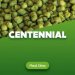 Hop pellets Centennial 100 g 