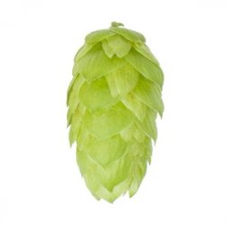 Lúpulo Comet Hopsteiner x 5 Kg - The Craft Drinks Lab