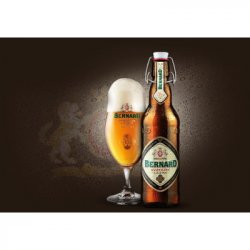 BERNARD PREMIUM LAGER 0.50lt - Beer24