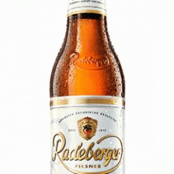 RADEBERGER 33cl (24αδα) - Wineshop.gr