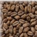 Malta Wheat (Trigo) Munich KG 