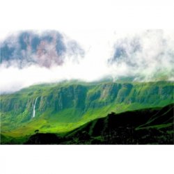 Popihn DIPA DDH - Mosaic Cryo