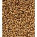 Crisp Finest Maris Otter Ale Malt 