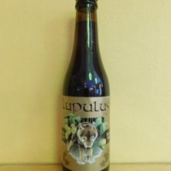 Lupulus Brune - Bier Circus