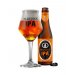 CERVEZA MARTIN'S IPA 33CL - Comprar online 