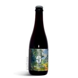 Salikatt Bryggeri. Nordic Trails 2024 Farmhouse Ale - Kihoskh